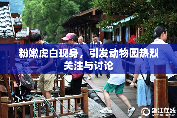 粉嫩虎白现身，引发动物园热烈关注与讨论