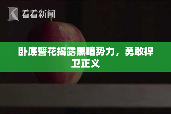 卧底警花揭露黑暗势力，勇敢捍卫正义