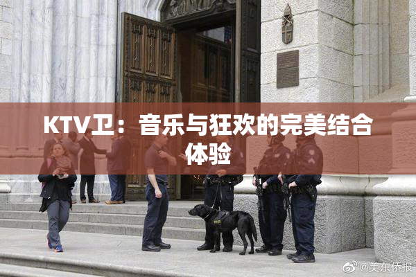 KTV卫：音乐与狂欢的完美结合体验
