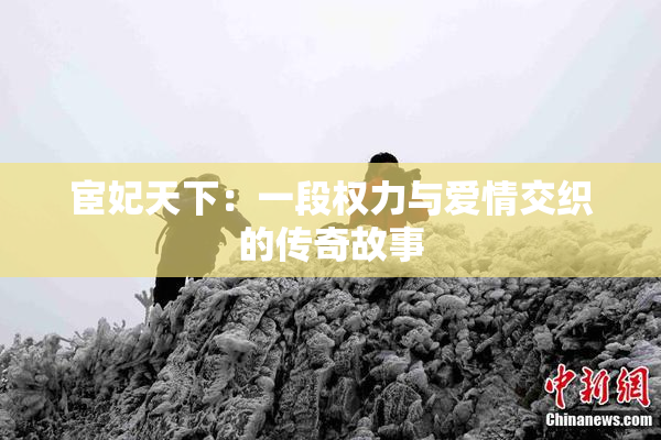 宦妃天下：一段权力与爱情交织的传奇故事