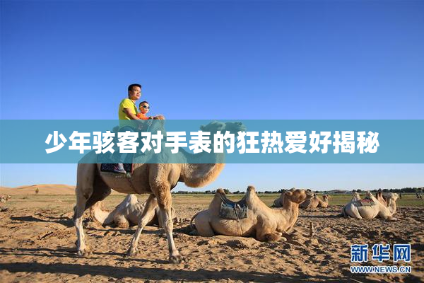 少年骇客对手表的狂热爱好揭秘