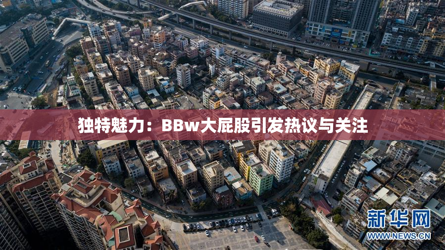 独特魅力：BBw大屁股引发热议与关注
