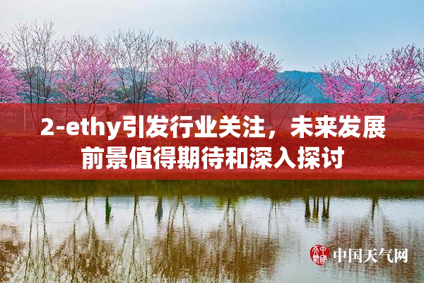 2-ethy引发行业关注，未来发展前景值得期待和深入探讨