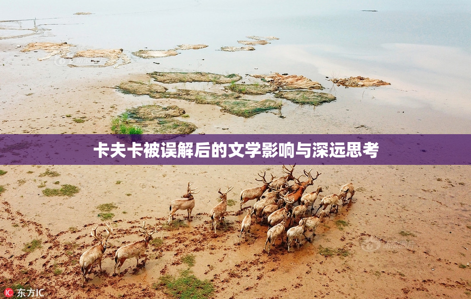 卡夫卡被误解后的文学影响与深远思考