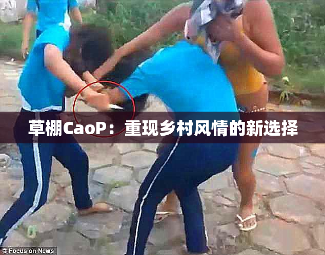 草棚CaoP：重现乡村风情的新选择