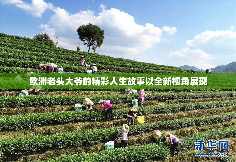 欧洲老头大爷的精彩人生故事以全新视角展现