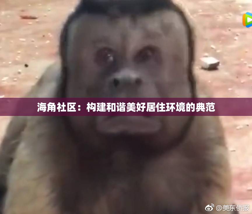 海角社区：构建和谐美好居住环境的典范