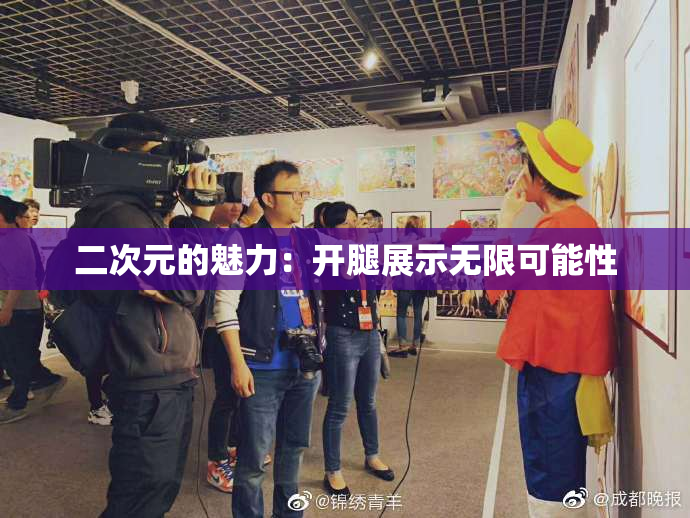 二次元的魅力：开腿展示无限可能性