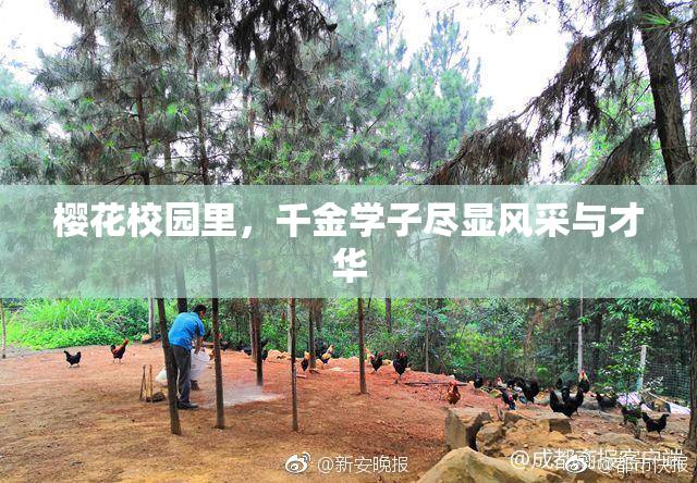 樱花校园里，千金学子尽显风采与才华