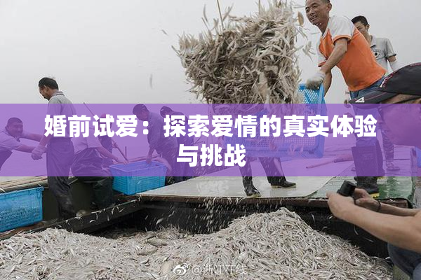 婚前试爱：探索爱情的真实体验与挑战