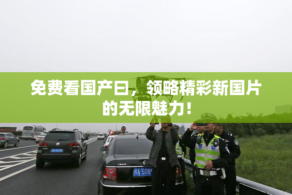 免费看国产曰，领略精彩新国片的无限魅力！