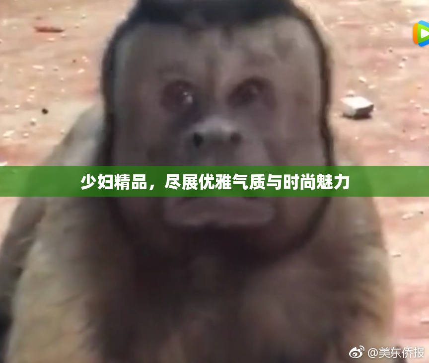 少妇精品，尽展优雅气质与时尚魅力