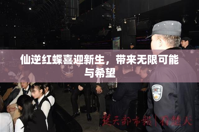 仙逆红蝶喜迎新生，带来无限可能与希望