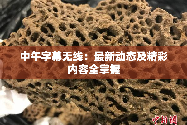 中午字幕无线：最新动态及精彩内容全掌握