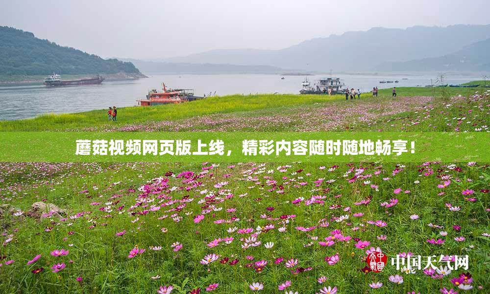 蘑菇视频网页版上线，精彩内容随时随地畅享！