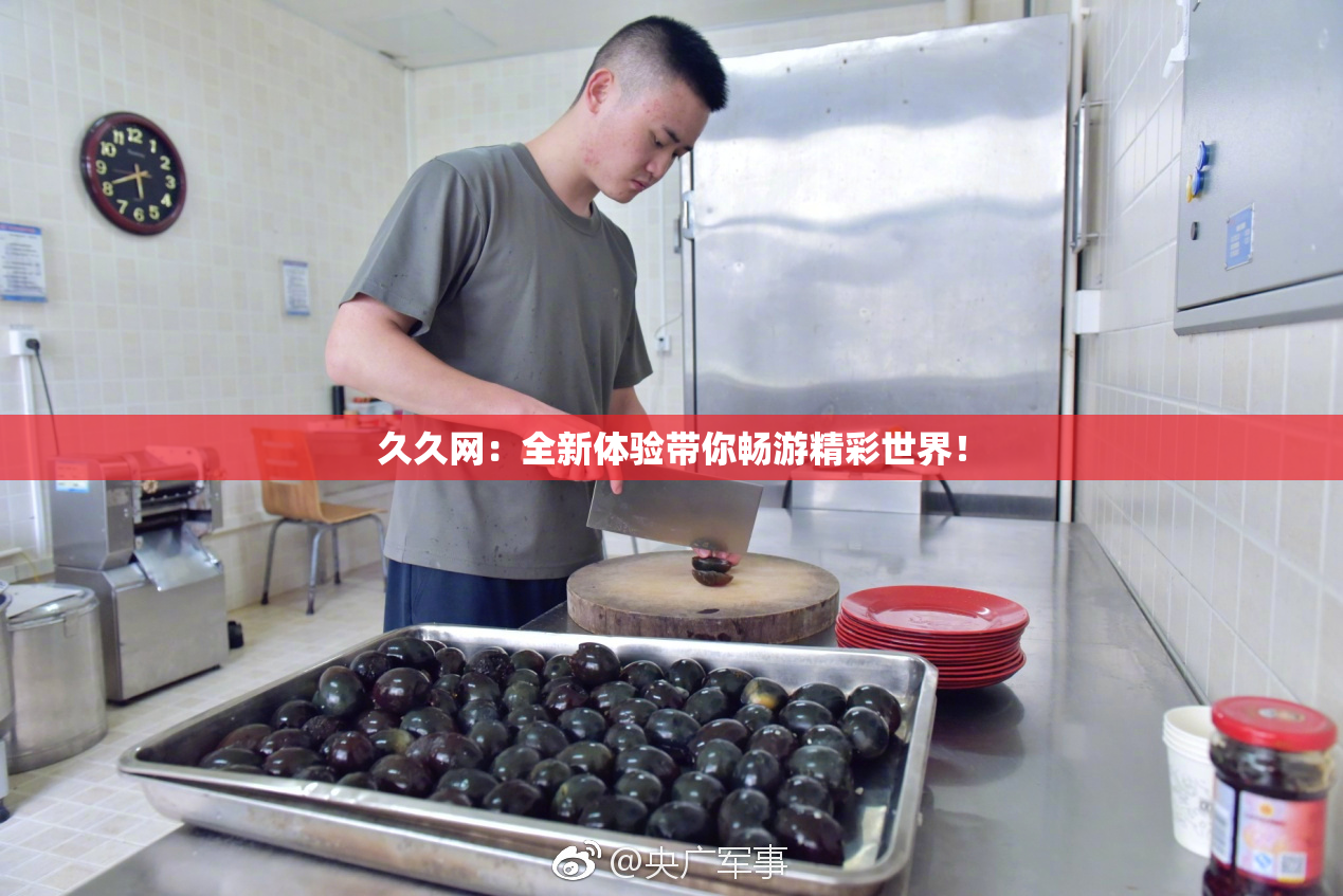 久久网：全新体验带你畅游精彩世界！