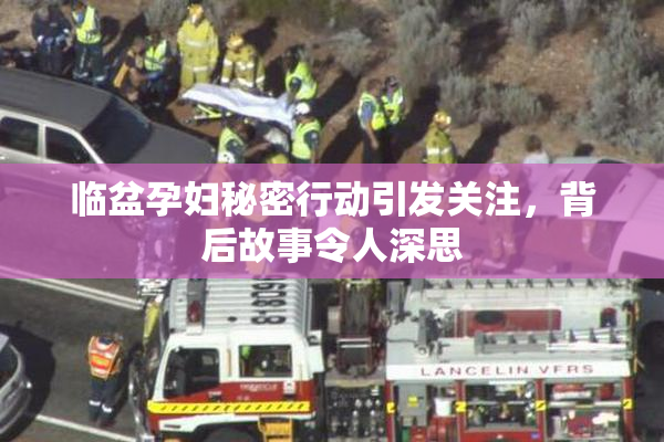临盆孕妇秘密行动引发关注，背后故事令人深思