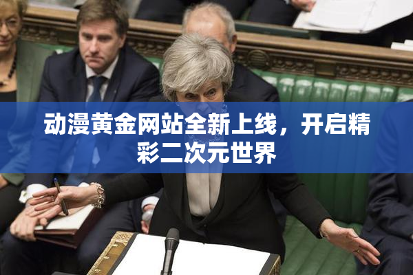 动漫黄金网站全新上线，开启精彩二次元世界