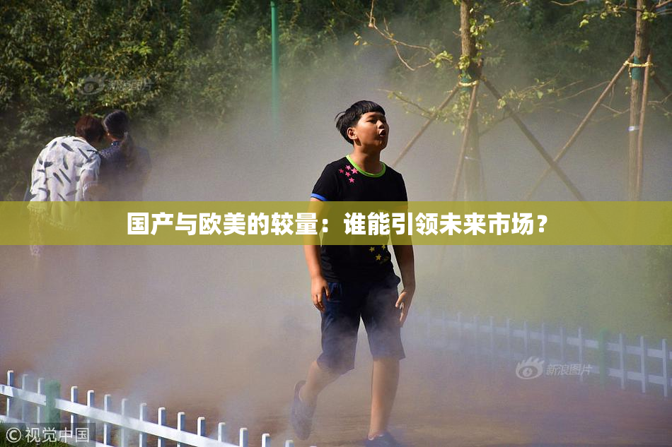 国产与欧美的较量：谁能引领未来市场？