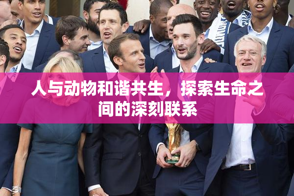 人与动物和谐共生，探索生命之间的深刻联系