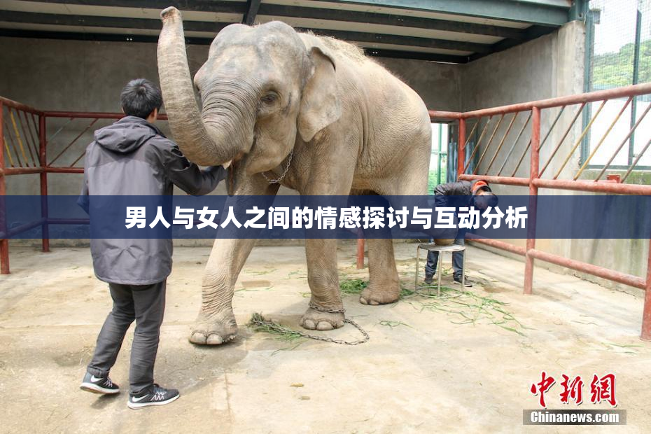 男人与女人之间的情感探讨与互动分析
