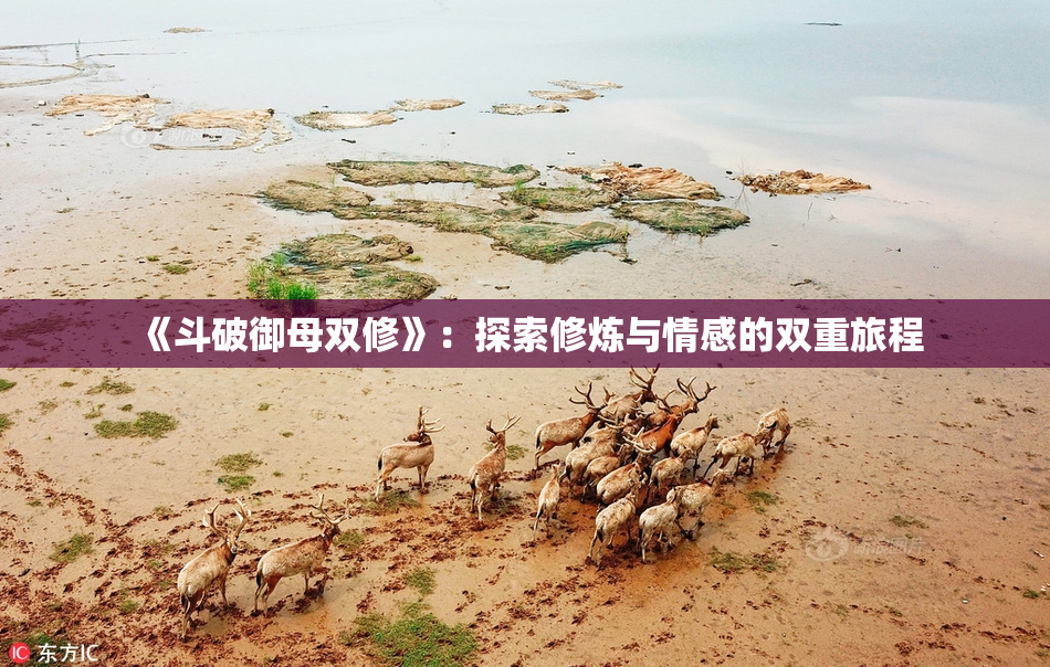 《斗破御母双修》：探索修炼与情感的双重旅程