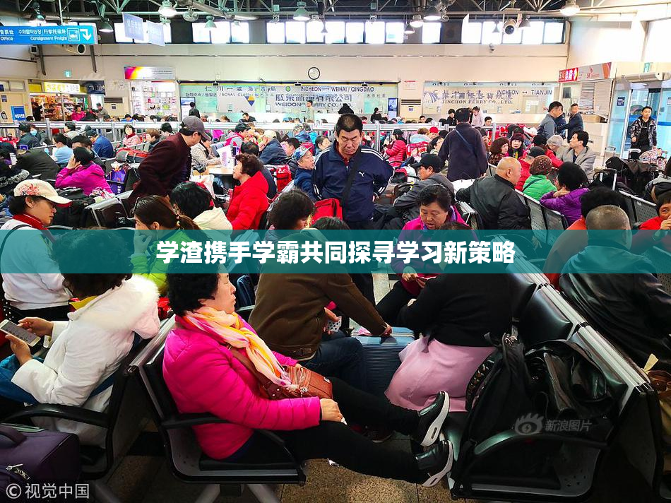 学渣携手学霸共同探寻学习新策略
