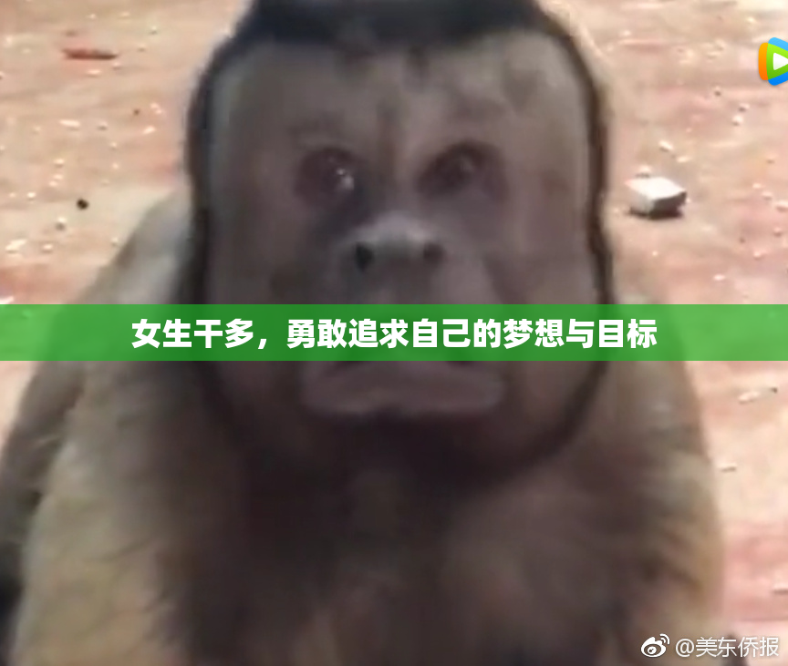 女生干多，勇敢追求自己的梦想与目标