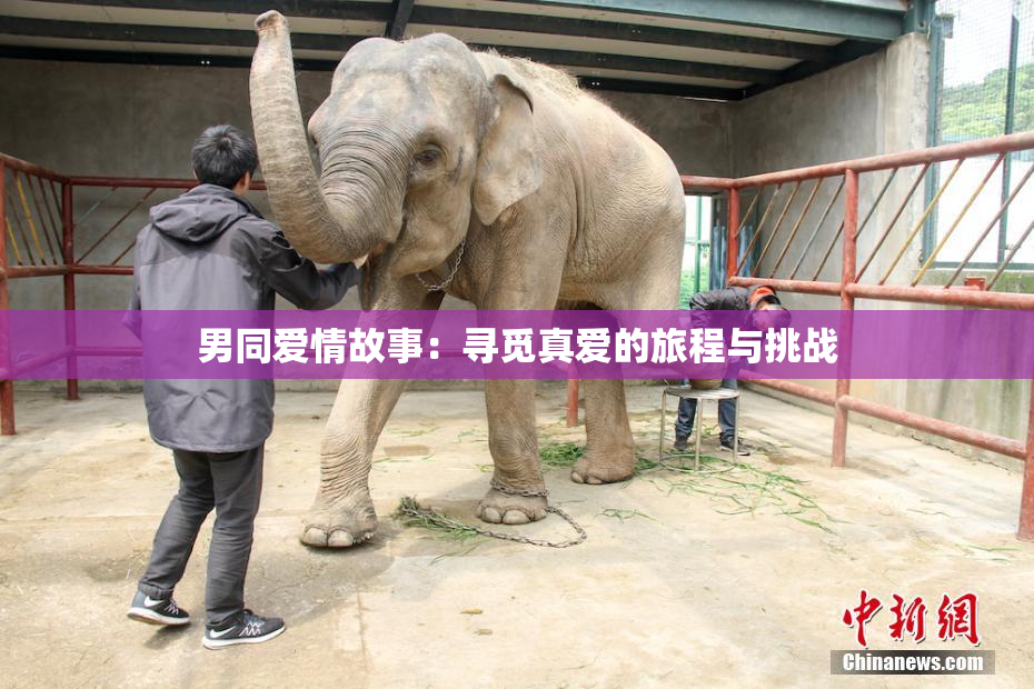 男同爱情故事：寻觅真爱的旅程与挑战