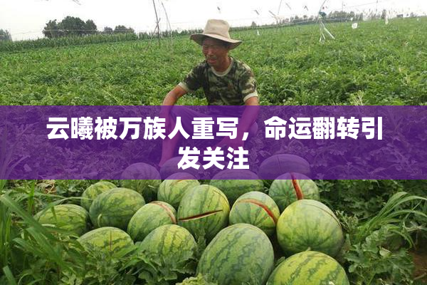 云曦被万族人重写，命运翻转引发关注