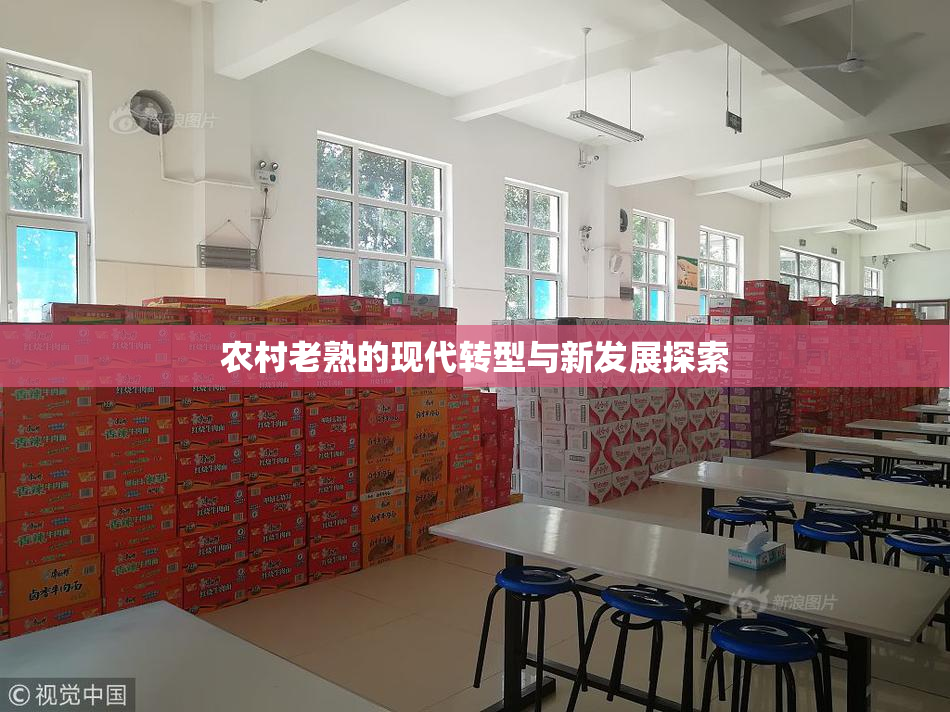 农村老熟的现代转型与新发展探索