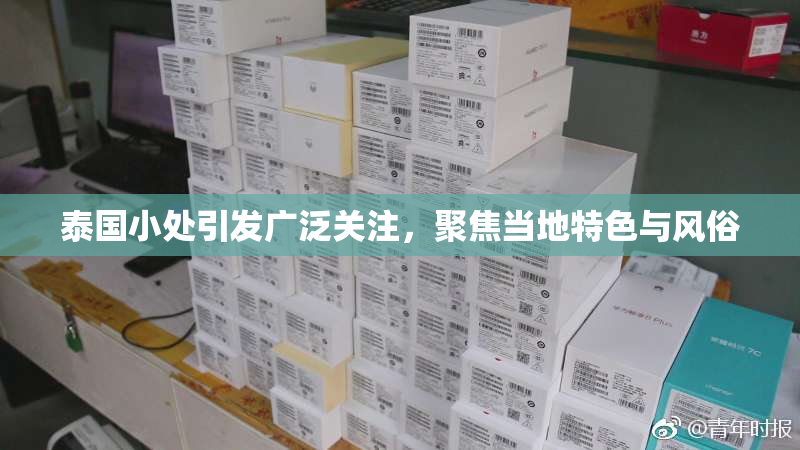 泰国小处引发广泛关注，聚焦当地特色与风俗