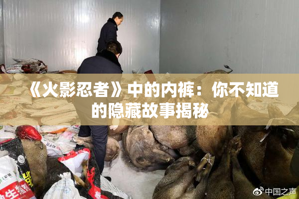 《火影忍者》中的内裤：你不知道的隐藏故事揭秘