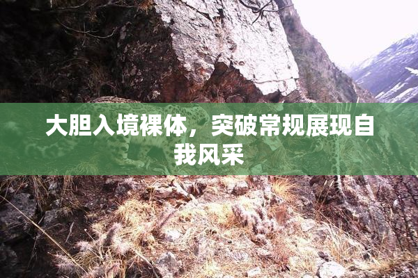 大胆入境裸体，突破常规展现自我风采