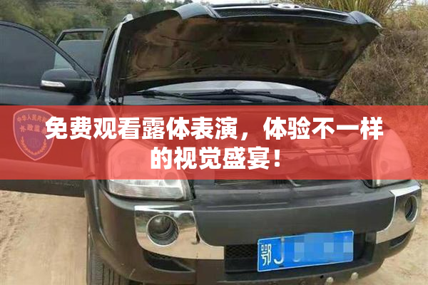 免费观看露体表演，体验不一样的视觉盛宴！