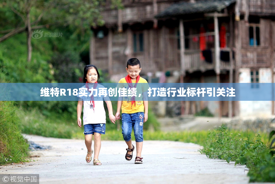 维特R18实力再创佳绩，打造行业标杆引关注