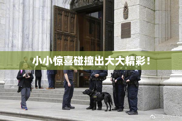 小小惊喜碰撞出大大精彩！