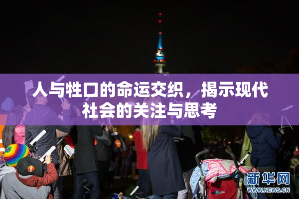 人与牲口的命运交织，揭示现代社会的关注与思考