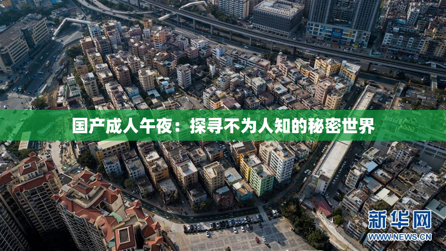 国产成人午夜：探寻不为人知的秘密世界