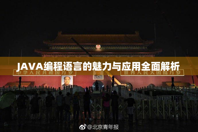 JAVA编程语言的魅力与应用全面解析