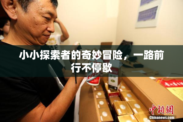 小小探索者的奇妙冒险，一路前行不停歇