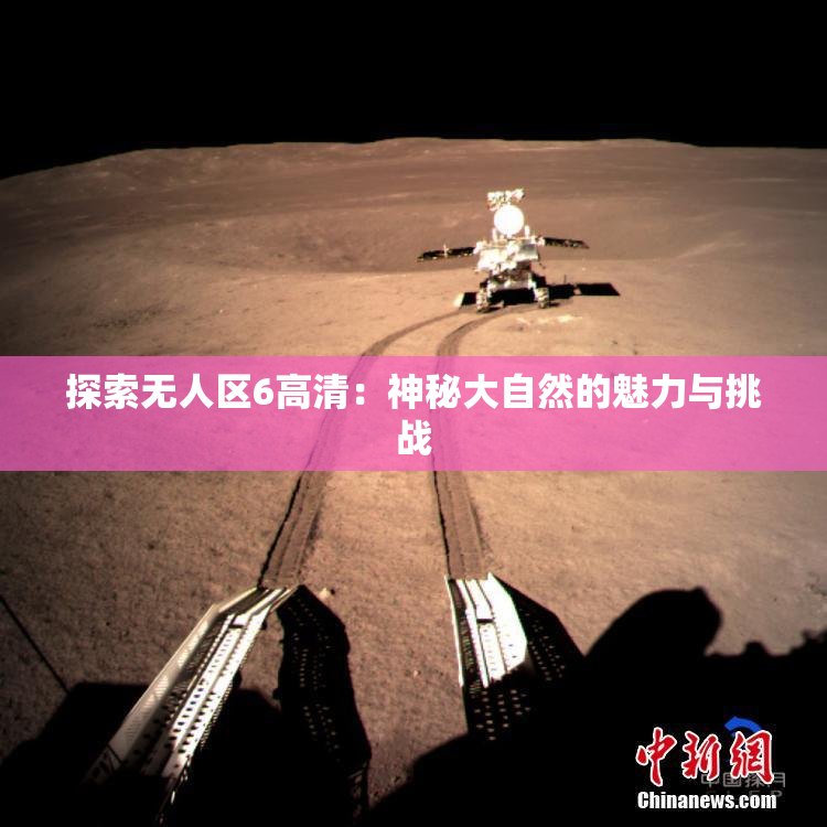 探索无人区6高清：神秘大自然的魅力与挑战