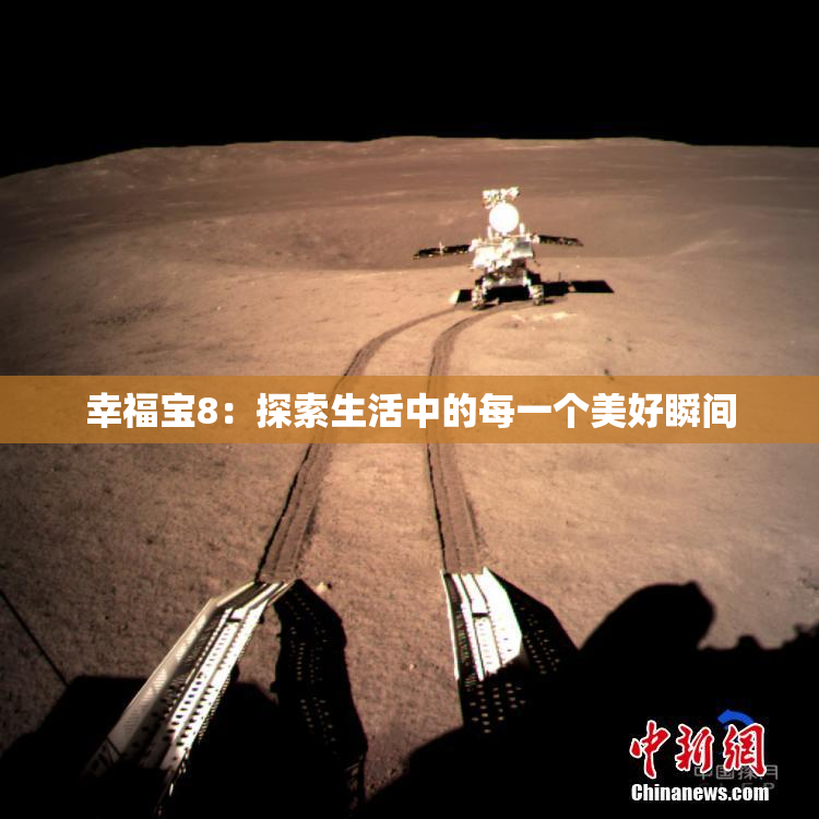 幸福宝8：探索生活中的每一个美好瞬间