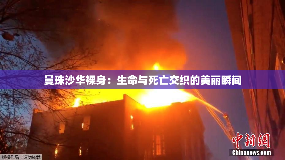 曼珠沙华裸身：生命与死亡交织的美丽瞬间
