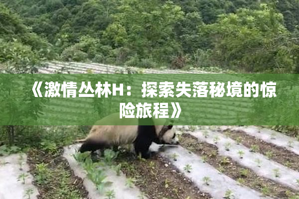 《激情丛林H：探索失落秘境的惊险旅程》