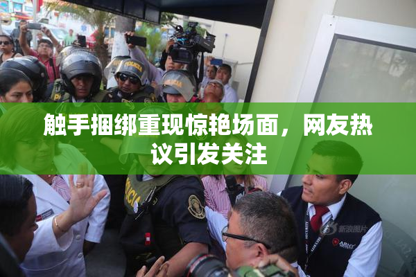 触手捆绑重现惊艳场面，网友热议引发关注