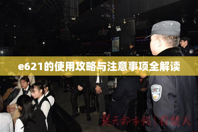 e621的使用攻略与注意事项全解读