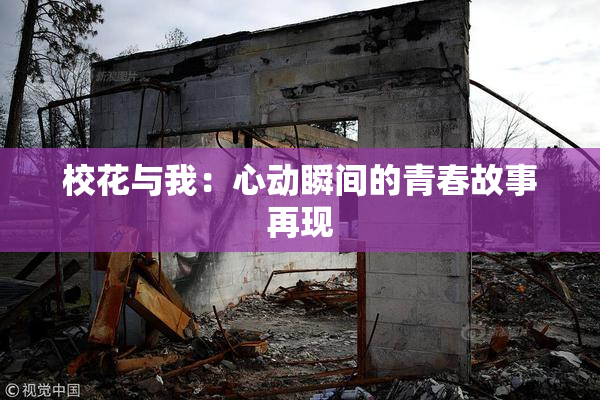 校花与我：心动瞬间的青春故事再现
