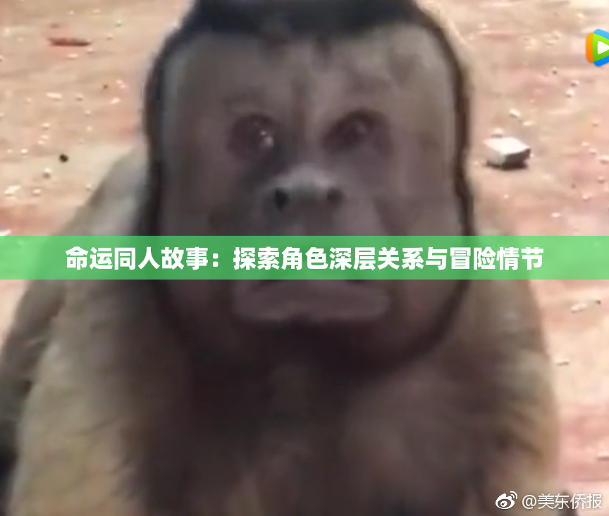 命运同人故事：探索角色深层关系与冒险情节