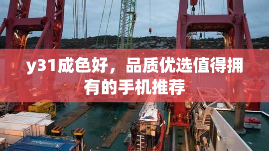 y31成色好，品质优选值得拥有的手机推荐